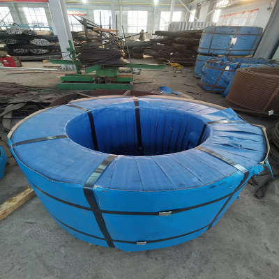 Most Popular Galvanized Steel Wire Rope